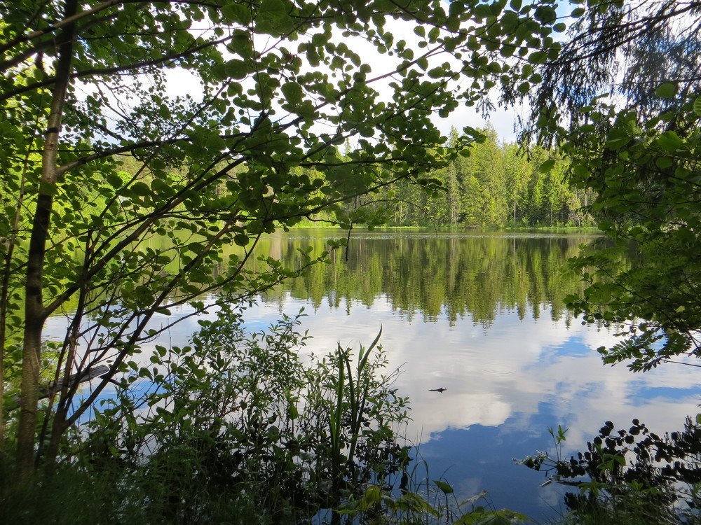 Photograph by Галина