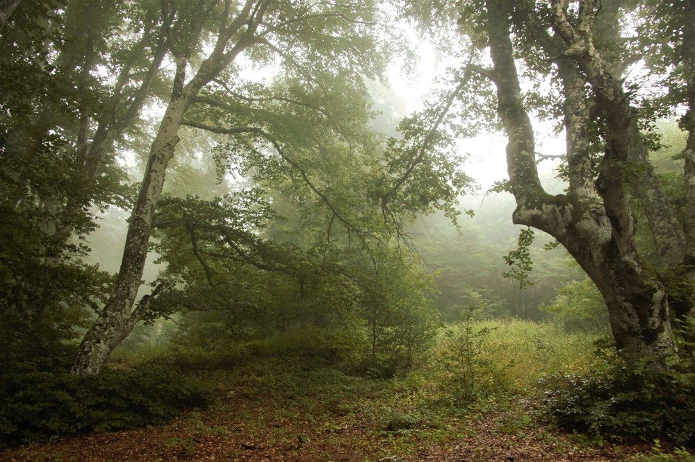 Photograph by света хлевненко