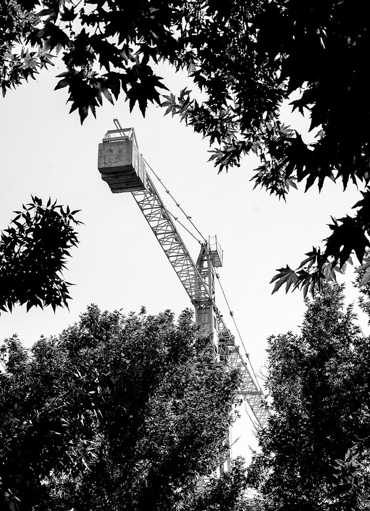 Фотография автора mohamadjavad yavarinaman