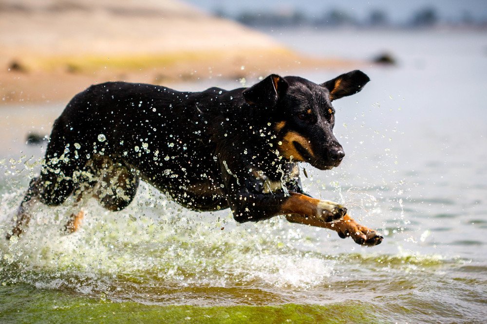 Photograph by Efremenko Nikita