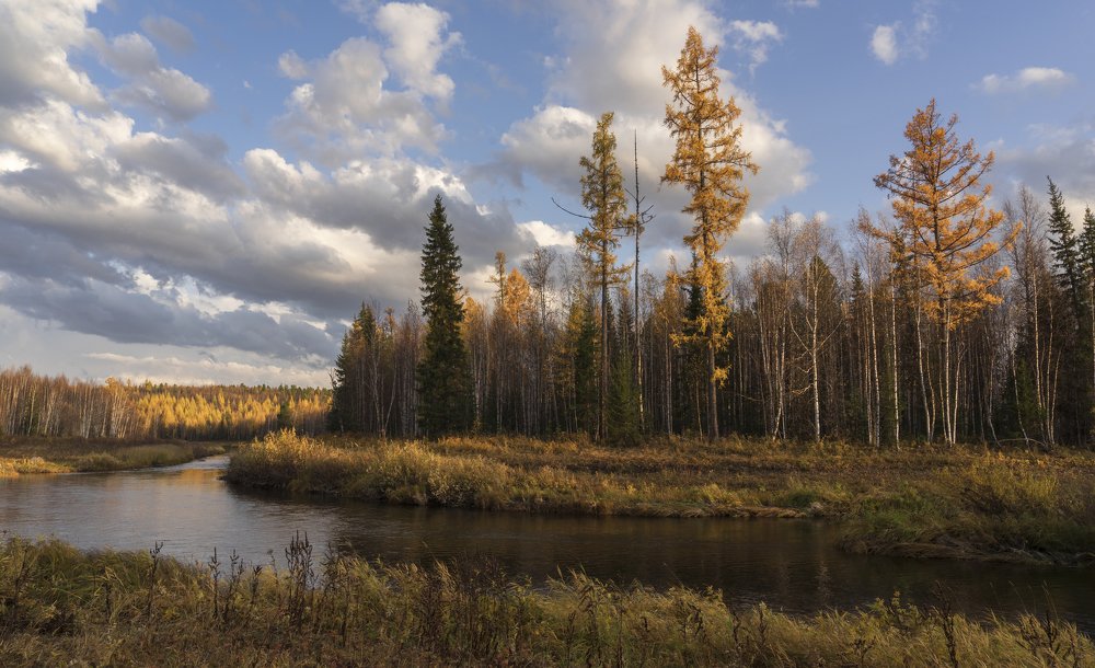 Вечер на реке