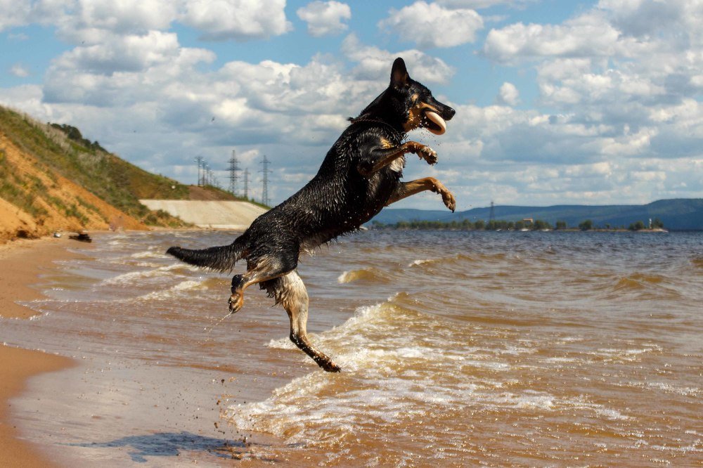 Photograph by Efremenko Nikita