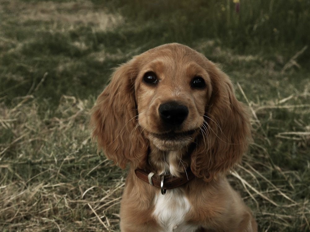 Photograph by Виктория Шлёпина