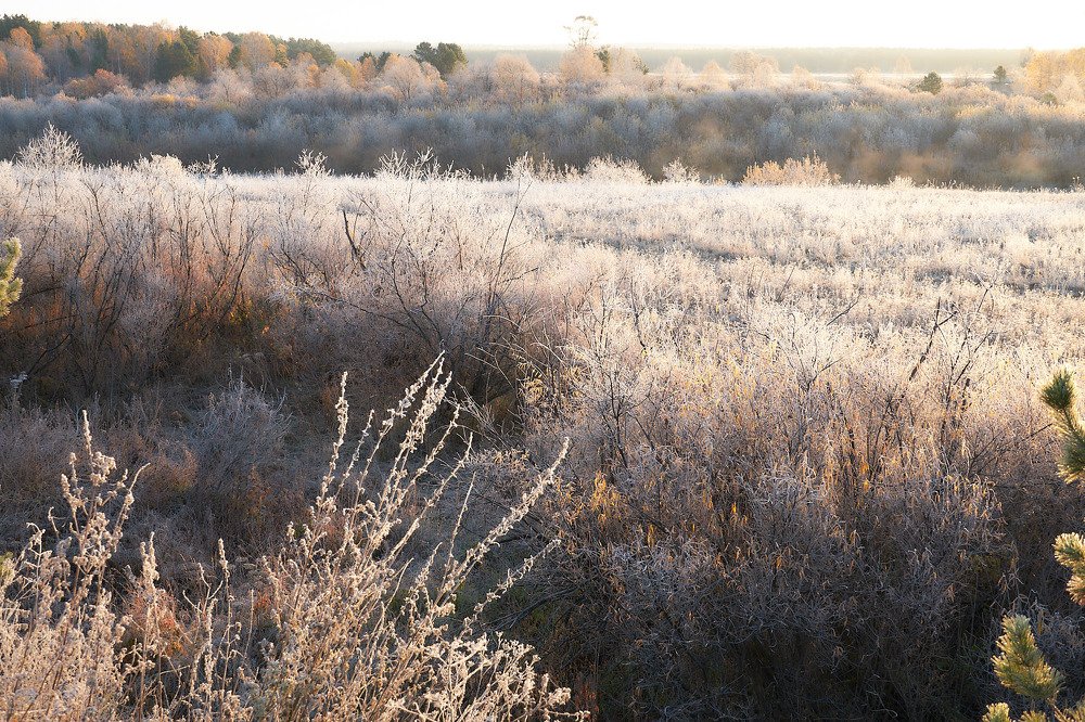 Фотография автора Александр Медведев