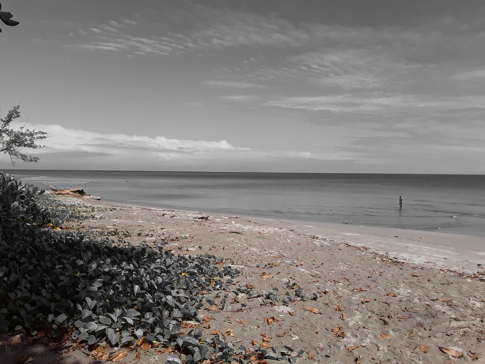 The Black Sea Line.