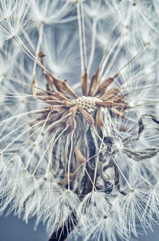 Photograph by Ольга Распопова