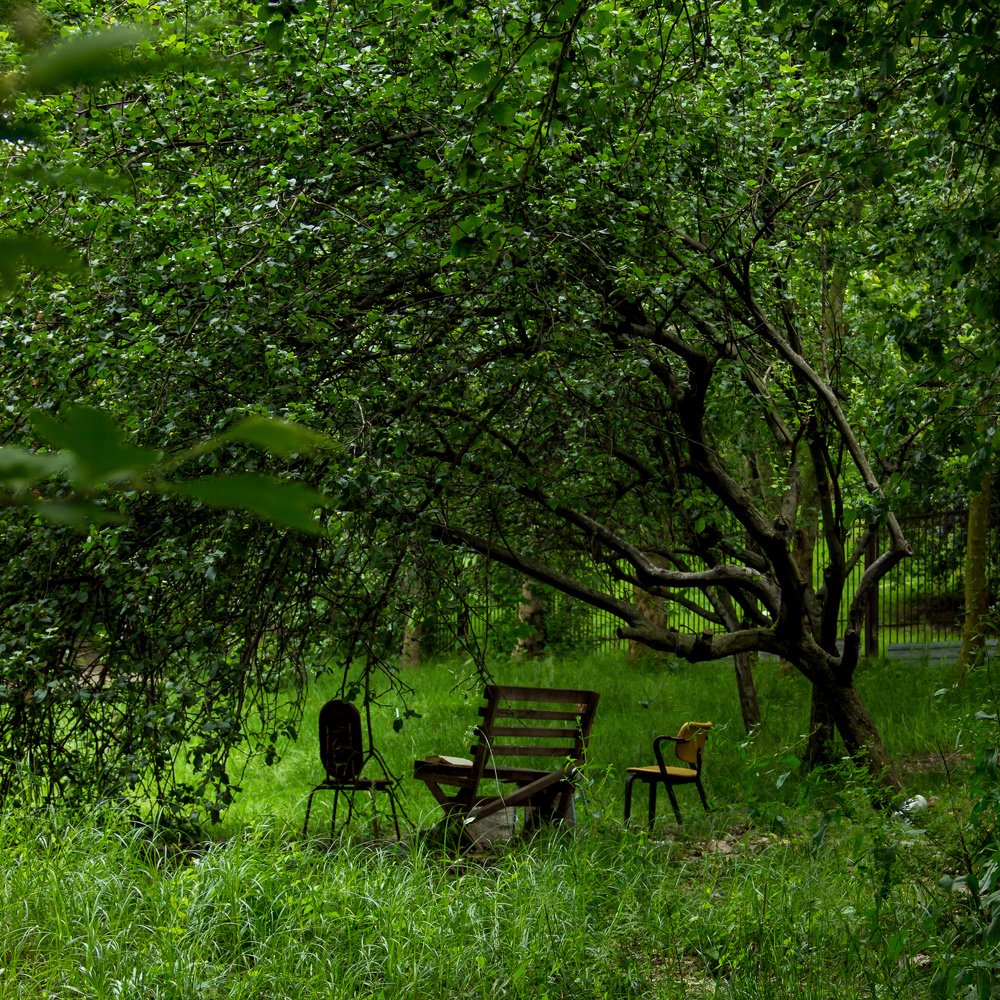 Photograph by Евгений Симион