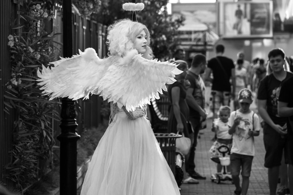 Photograph by Евгений Симион