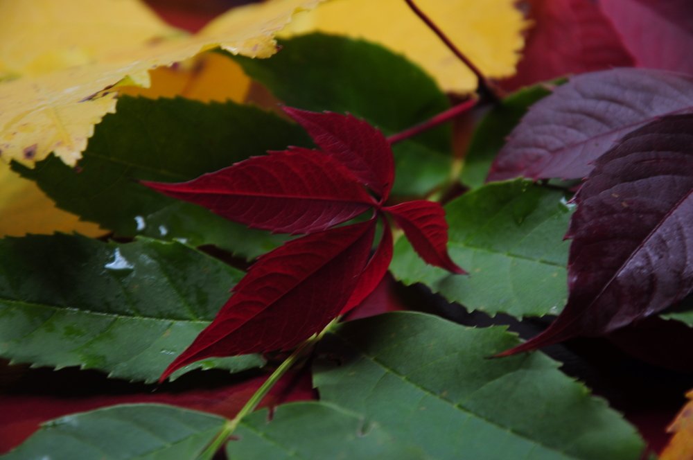 Photograph by Татьяна Маринич