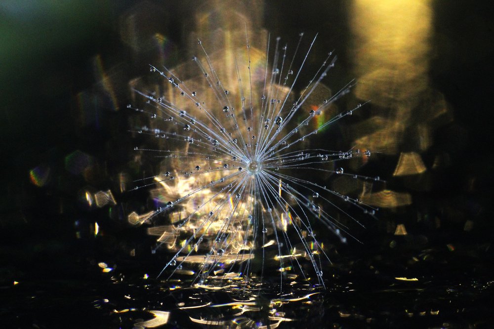 Photograph by Алексей Мосейко