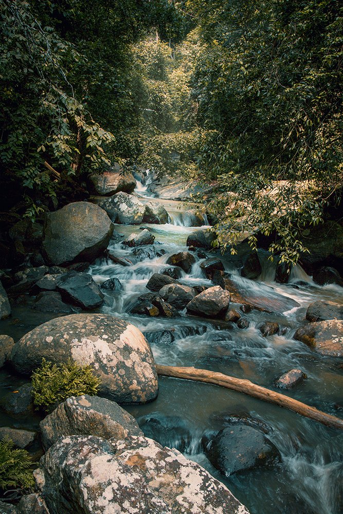 Photograph by Hemal Perera