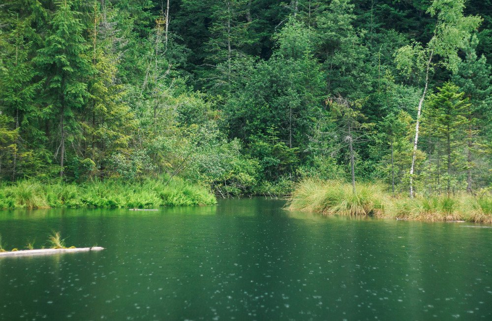 Photograph by Наталья Мещерякова