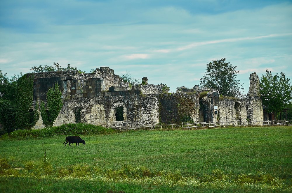 Photograph by Георгий Товмач