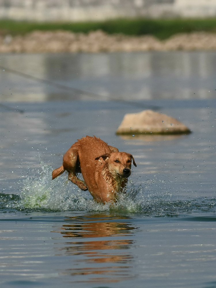 Playing in water