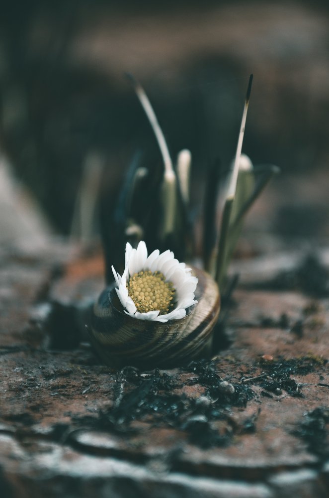 Photograph by Юрій Осипчук