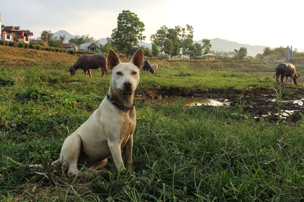 Photograph by Baraya Rocky