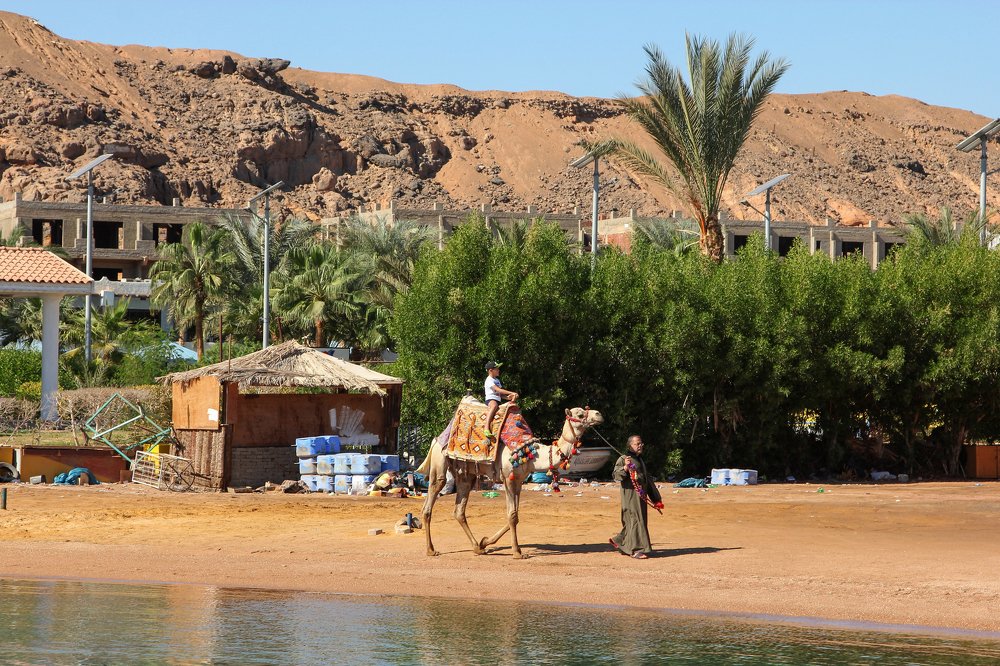 Фотография автора Victor Sacaliuc