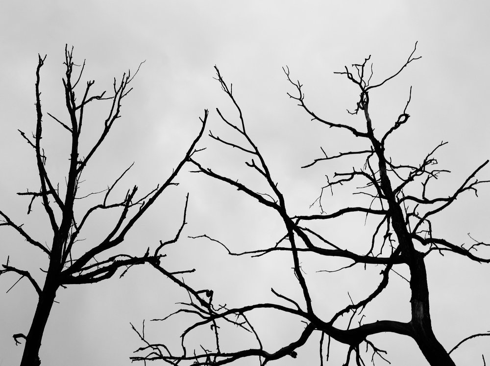 Photograph by Евгения Гудкова