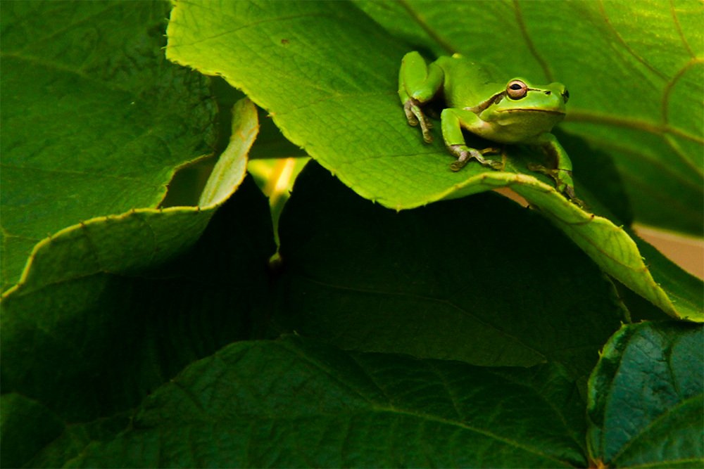 Photograph by mehdi yaghoobi