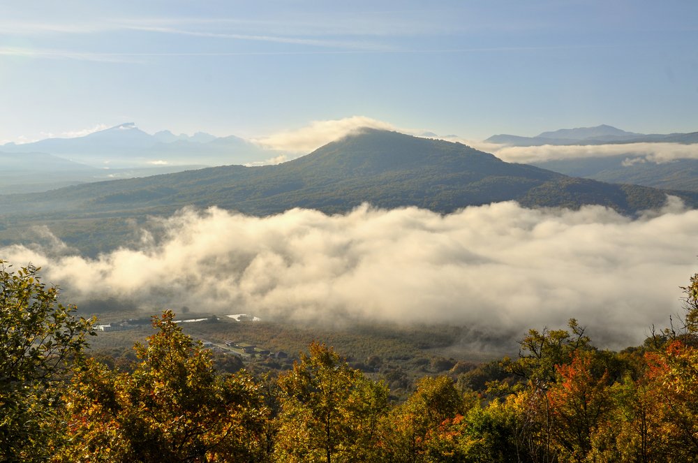 Photograph by Виктория Зимановская