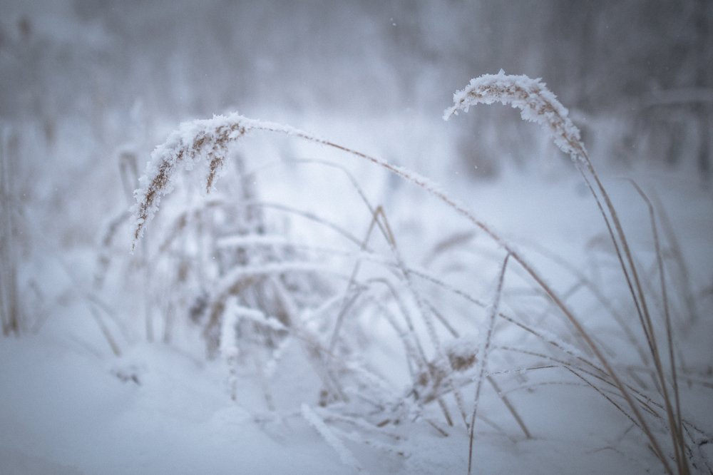 Photograph by Мария Фердинанд