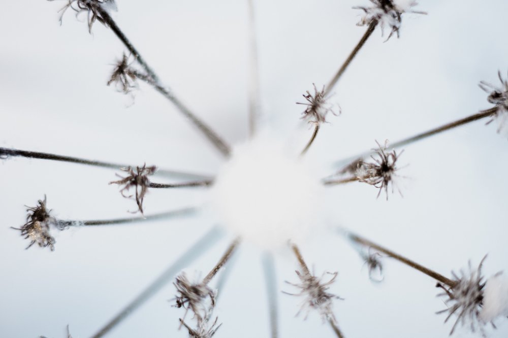 Photograph by Мария Фердинанд