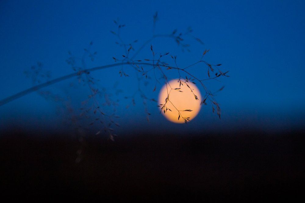 Photograph by Татьяна Антонюк