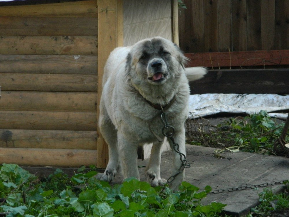 Photograph by Юлия Зеленева