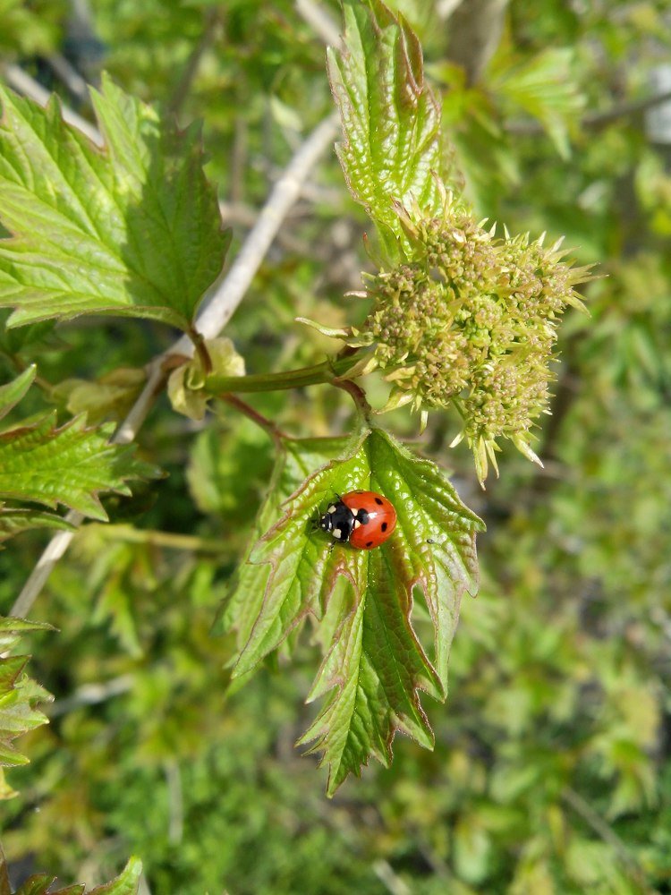 Photograph by Юлия Зеленева