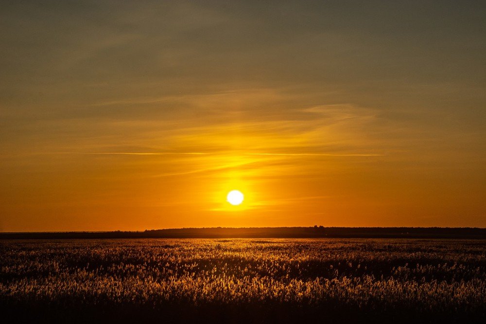 Photograph by Алексей Иванов