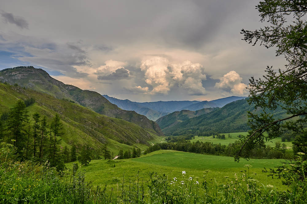 Photograph by Владимир Малевич