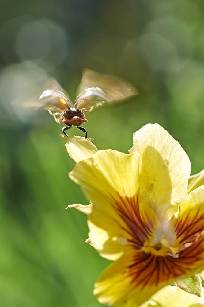 Photograph by Владимир Малевич