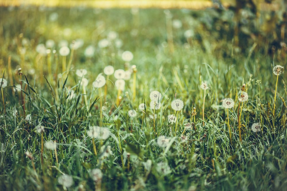 Photograph by Светлана Барановская