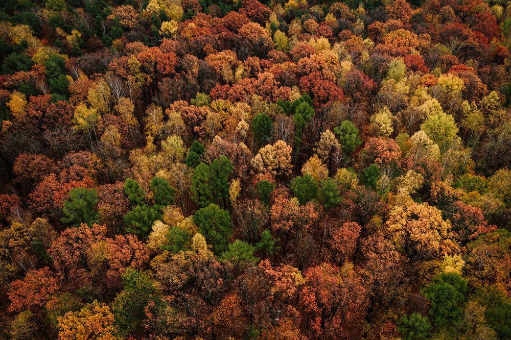 Photograph by Alexey Nikitin