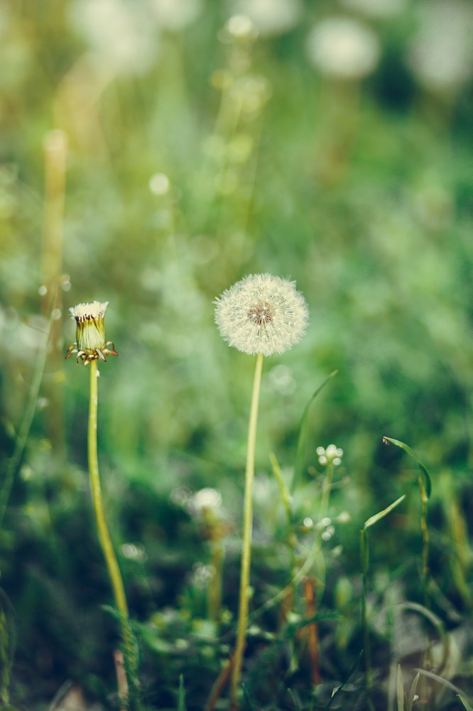 Photograph by Светлана Барановская