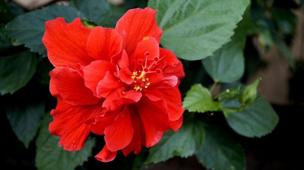 Photograph by Алексей Миронов