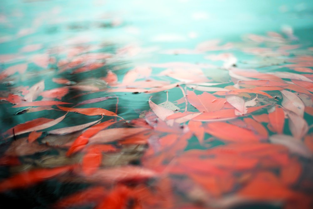 Photograph by Фарида Рахимова