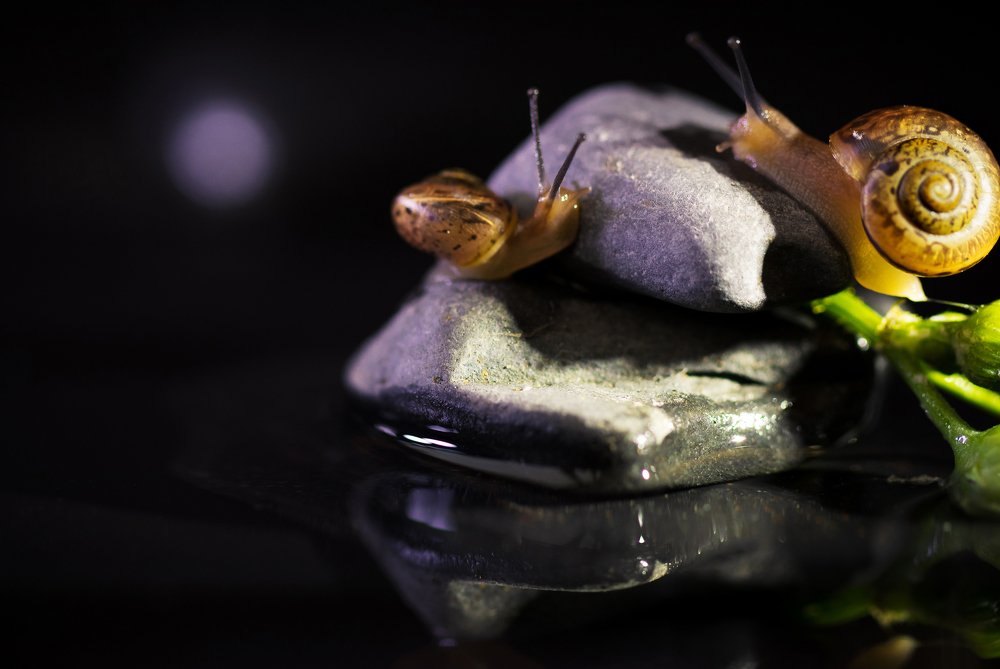 Photograph by Leonid Ivanovskij