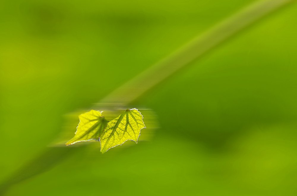 Photograph by Александр Романов