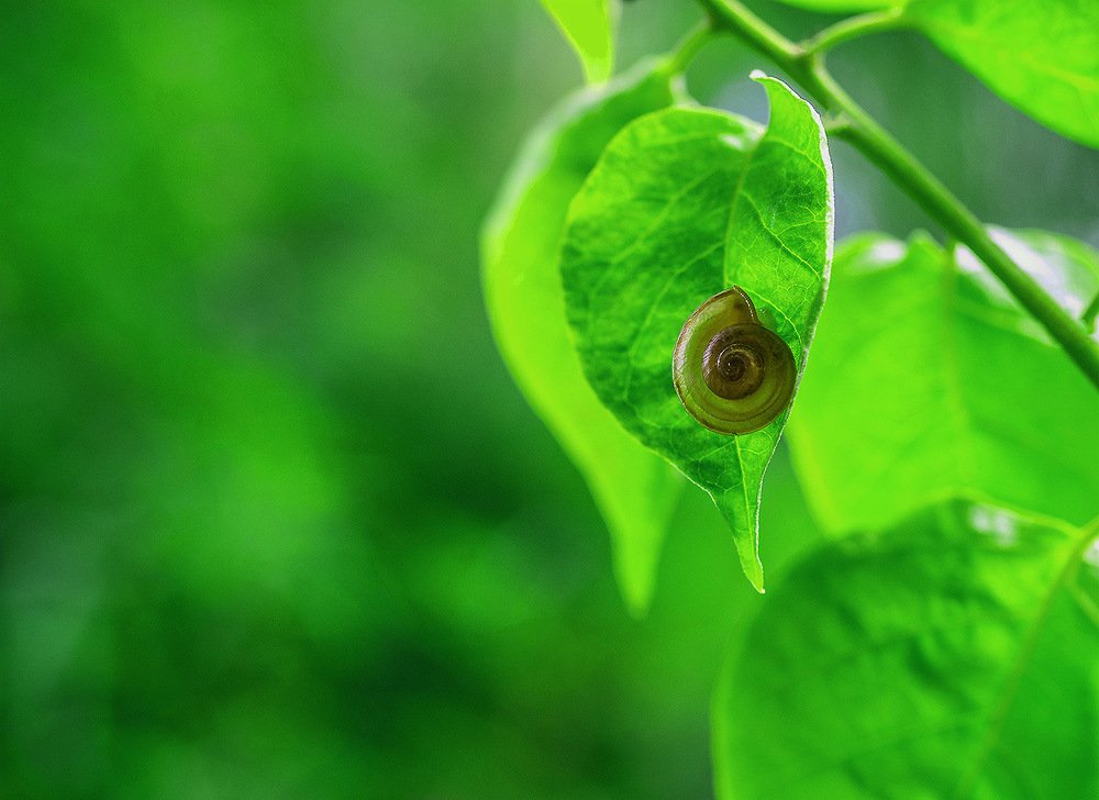 Photograph by Александр Романов