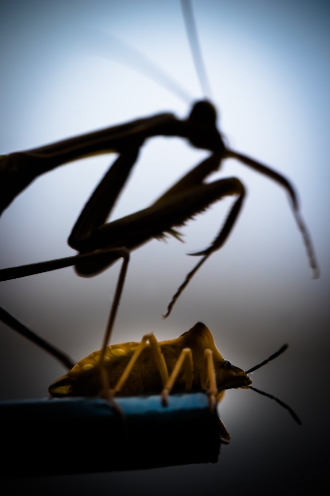 Photograph by Leonid Ivanovskij