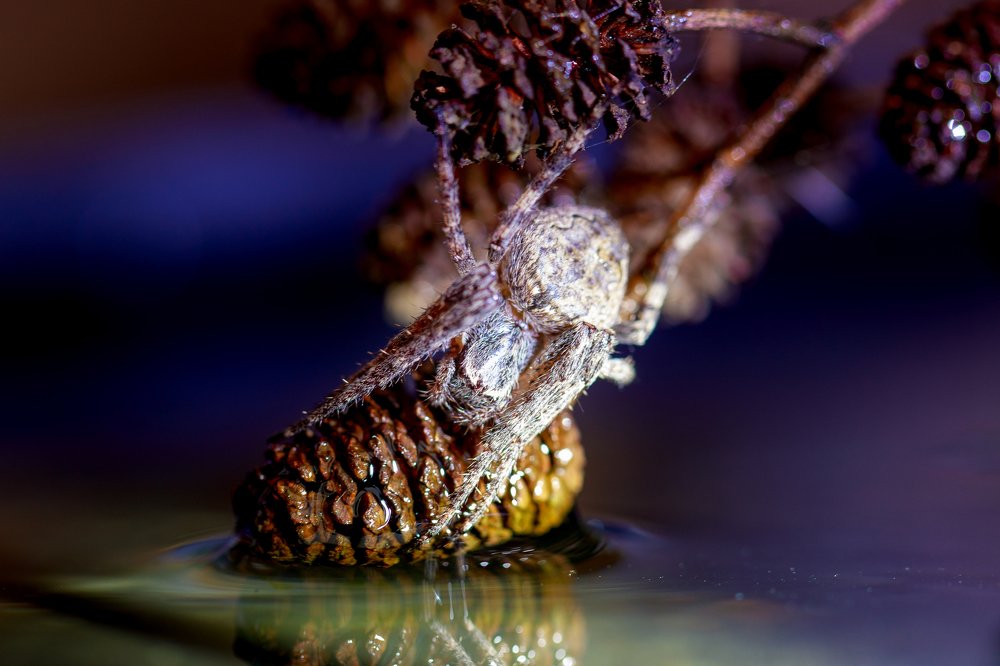 Photograph by Leonid Ivanovskij