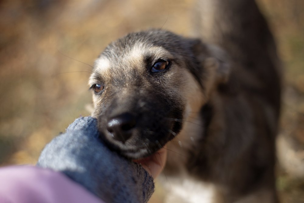 Photograph by Сергей Трофимов