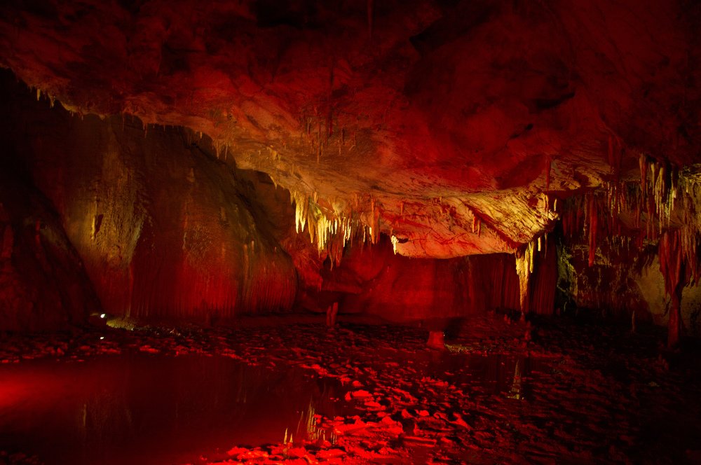 Фотография автора Нелли Хохлова