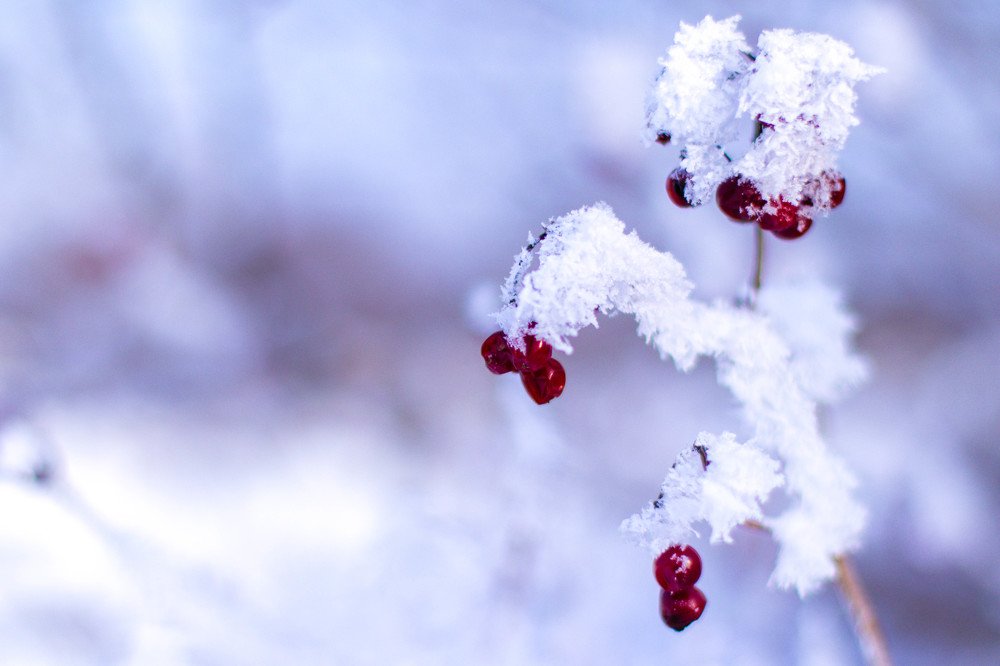 Photograph by Leonid Ivanovskij