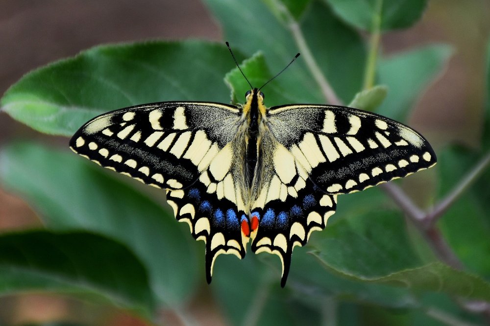 Photograph by seyyed mohammad andy