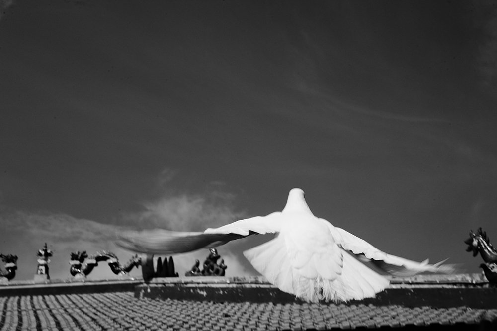 Photograph by Lê Nguyễn Vũ