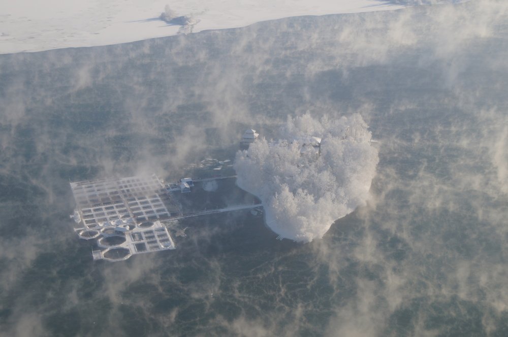 Photograph by Алексей Миронов