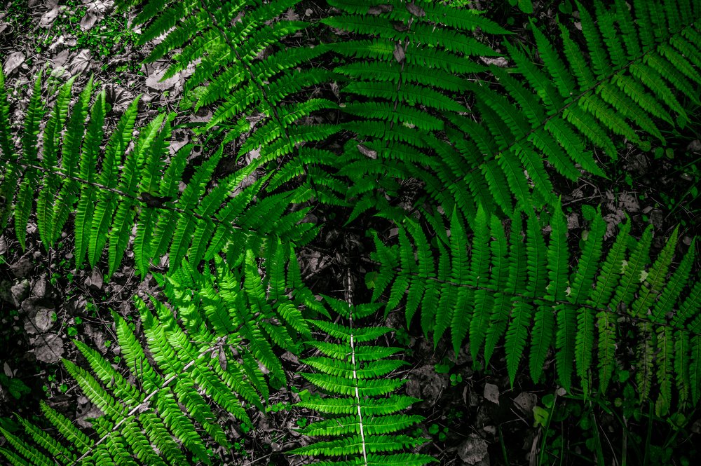 Photograph by Александр Попович