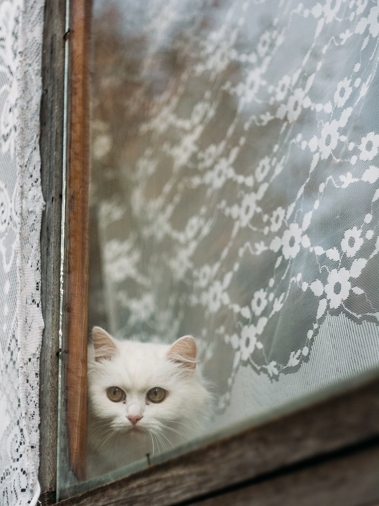 Photograph by Надежда Раскина